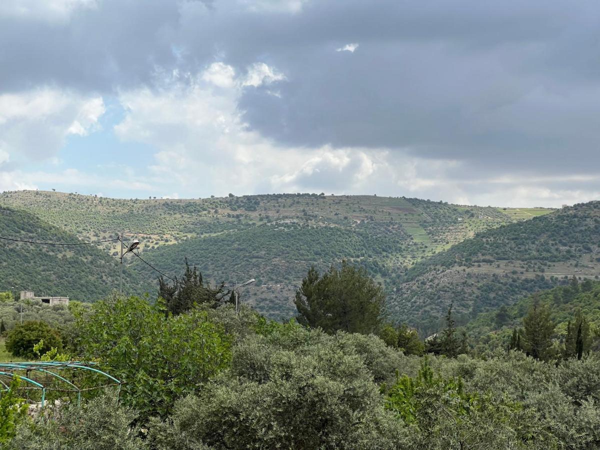 Oak Farm مزرعة الملّول Guest House Ajloun Luaran gambar