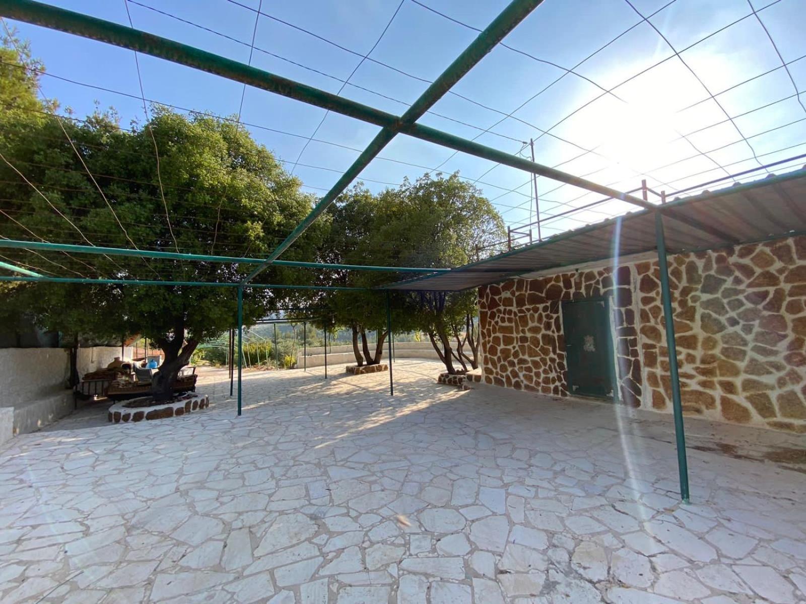 Oak Farm مزرعة الملّول Guest House Ajloun Luaran gambar