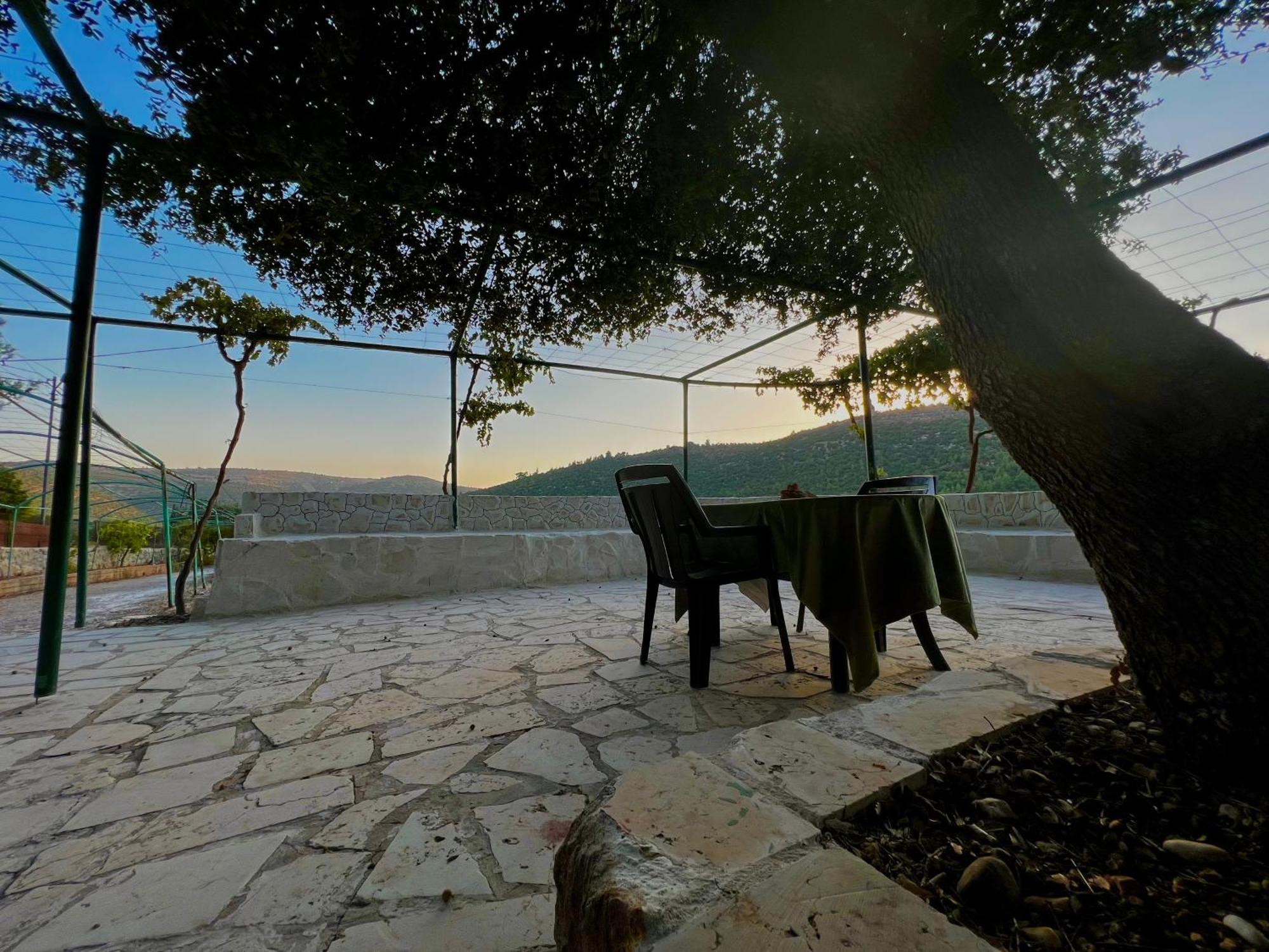 Oak Farm مزرعة الملّول Guest House Ajloun Luaran gambar